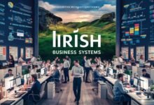 irish business systems​